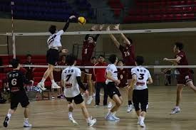 深明大义！樊振东取关张本智和 后者险恶用心曝光