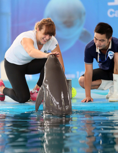 随着欧洲足 随着欧洲足